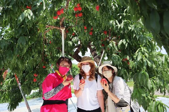 Visiting Marusei Orchard