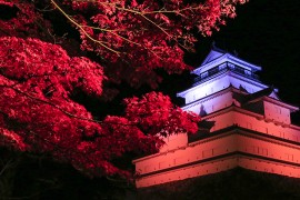 Tsurugajo Castle & the Meiji Restoration