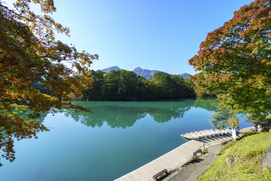 五月沼池塘和萬代地區