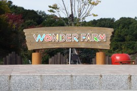 Tomato Heaven in Wonder Farm, Iwaki