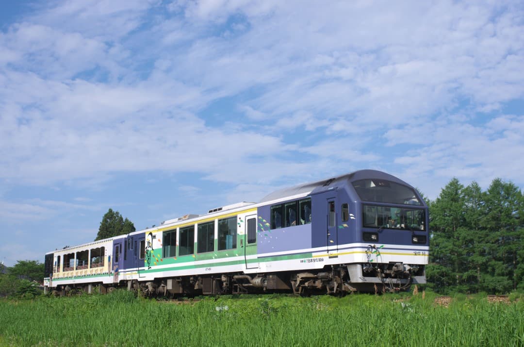 Oza Toro Tombo Train View